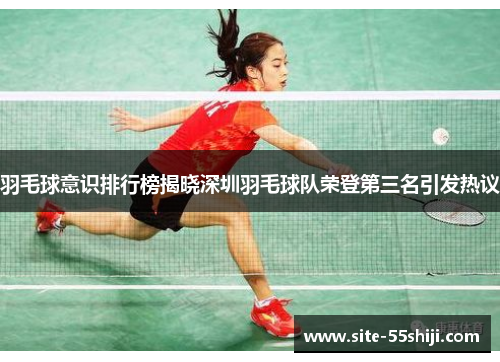 羽毛球意识排行榜揭晓深圳羽毛球队荣登第三名引发热议
